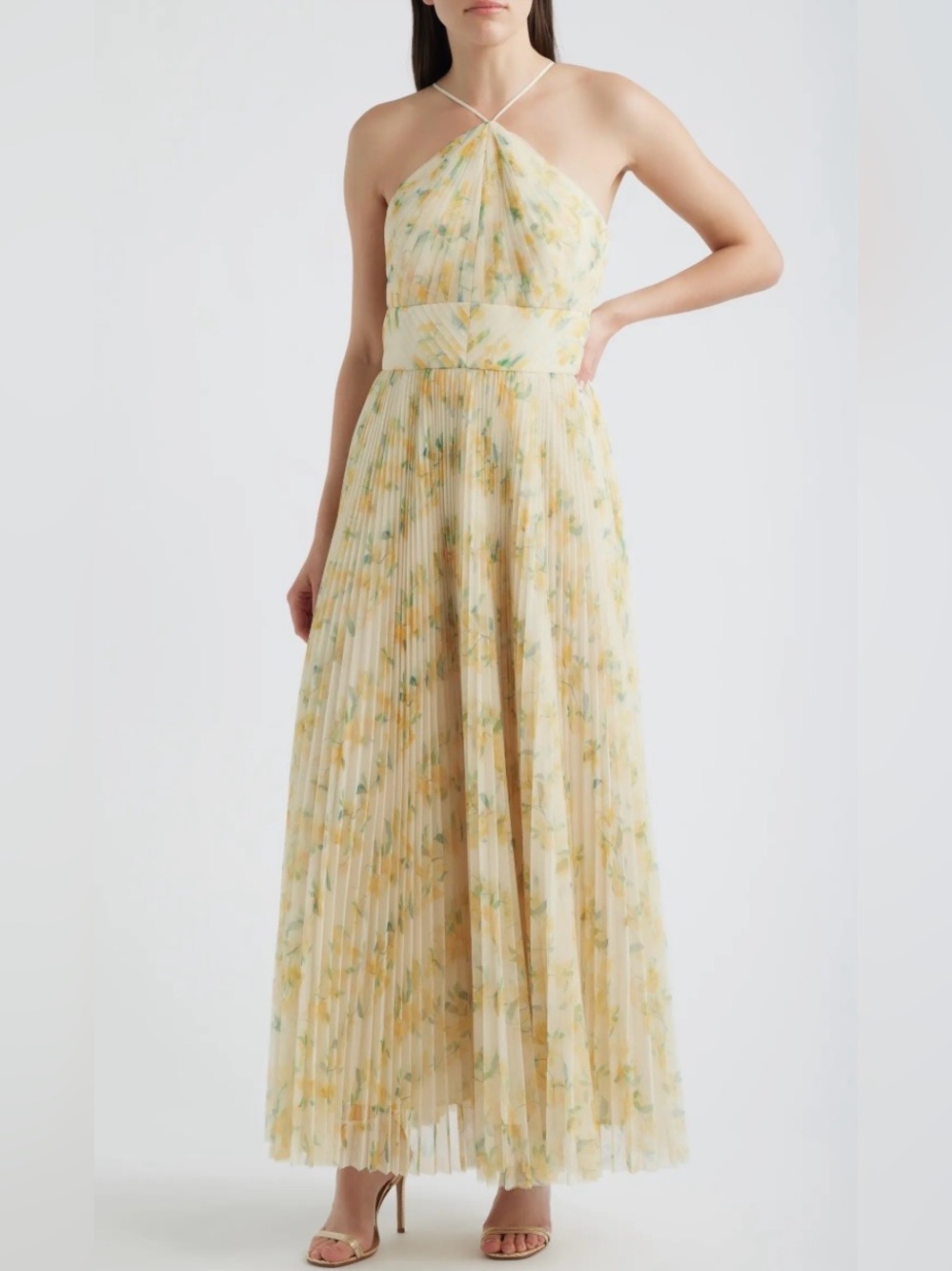 Hutch Yellow Floral Halter Pleated Maxi Dress